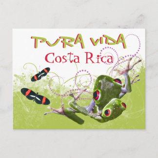 Postal costarricense de rana de árbol Pura Vida