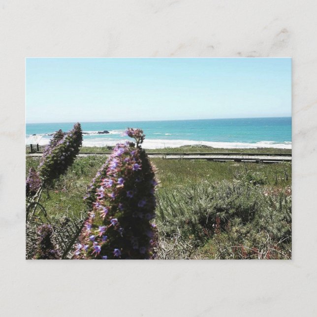 Postal costera (Anverso)