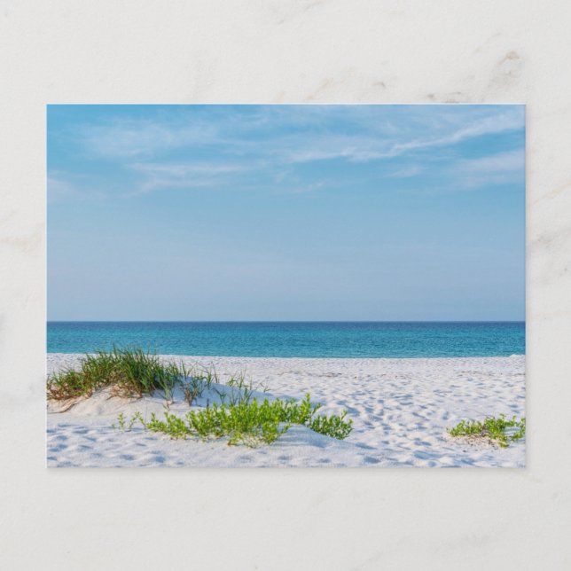 Postal costera de White Sandy Beach Florida (Anverso)