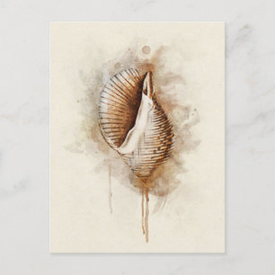 Postal Costera Tropical Coastal Beach Shell Watercolor