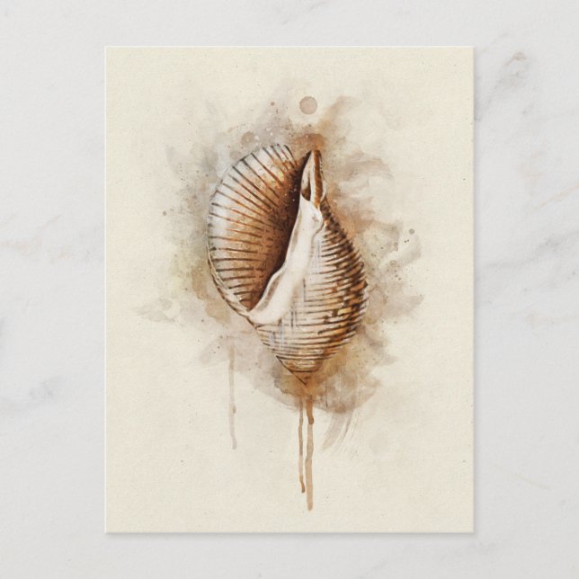 Postal Costera Tropical Coastal Beach Shell Watercolor (Anverso)