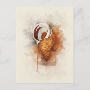 Postal Costera Tropical Coastal Beach Shell Watercolor