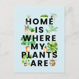 Postal Cota de jardinería de plantas de interior en acuar