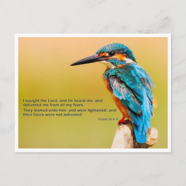 Postal Cotización bíblica - Salmo 34 (Anverso)