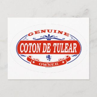 Postal Coton De Tulear