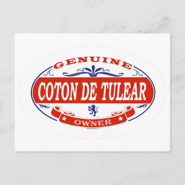 Postal Coton De Tulear (Anverso)