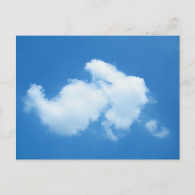 Postal Cotton Tail (Anverso)