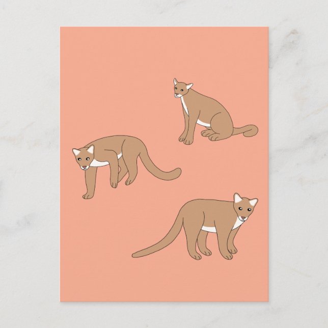 Postal Cougar (Anverso)