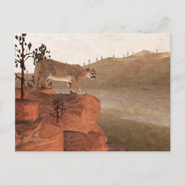 Postal Cougar - Concentración (Anverso)