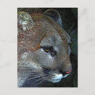 Postal Cougar de la naturaleza artística