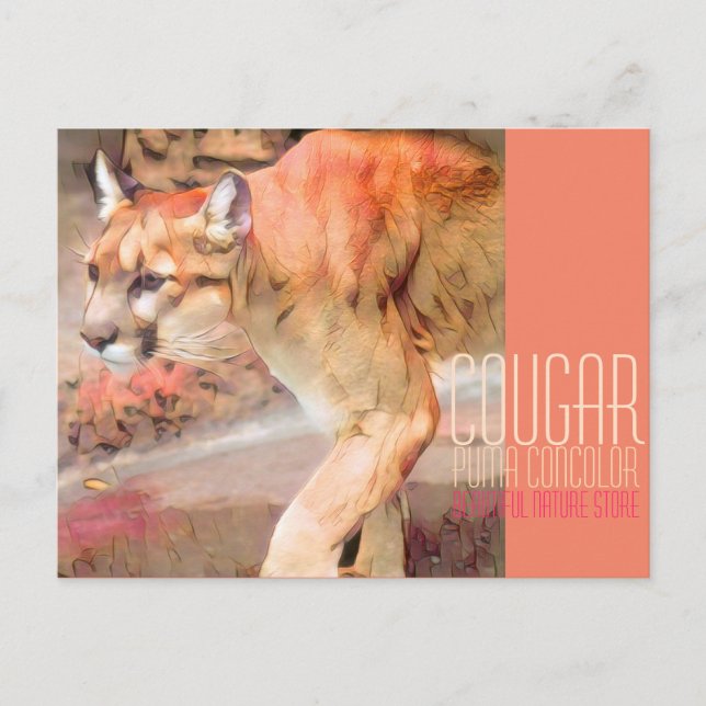 Postal Cougar [postal] (Anverso)