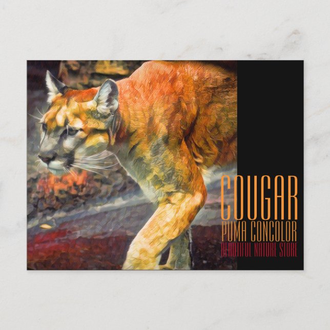 Postal Cougar [postal] (Anverso)