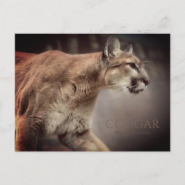 Postal Cougar:Postal