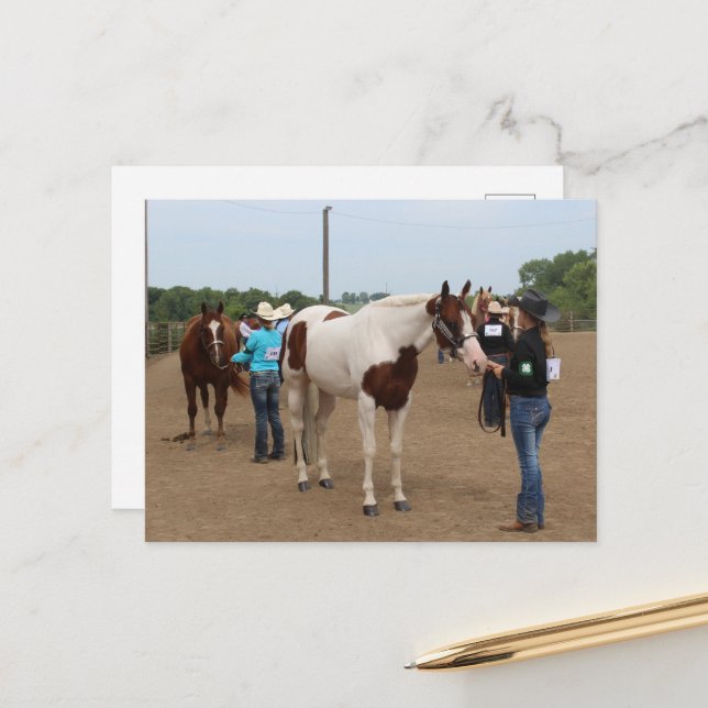 Postal County Fair Showmanship Paints and Quarter Horses (Anverso/Reverso In Situ)