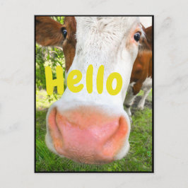 Postal Cow Hello divertida