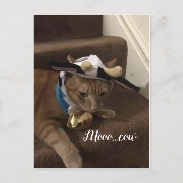 Postal Cow Lancelot (Anverso)