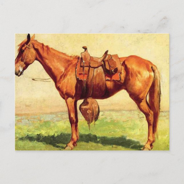 Postal Cow Pony (Anverso)