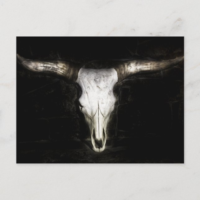 Postal Cow Skull (Anverso)