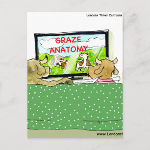 Postal Cow TV muestra a divertida Personalizado