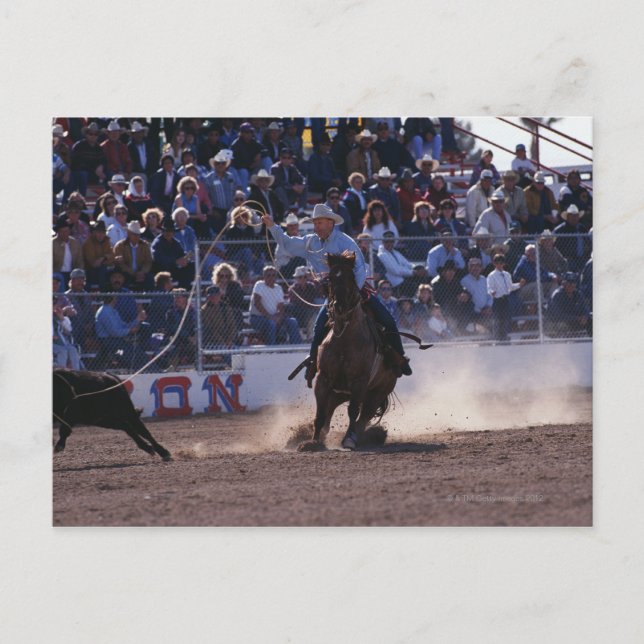 Postal Cowboy montando ternera en Rodeo (Anverso)