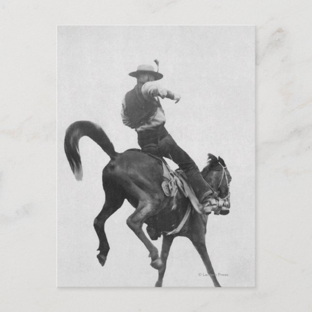 Postal Cowboy Ned Coy Riding Bronco (Anverso)