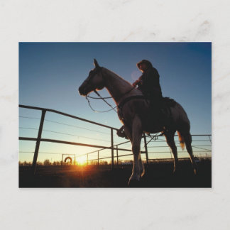 Postal Cowboy Post Card