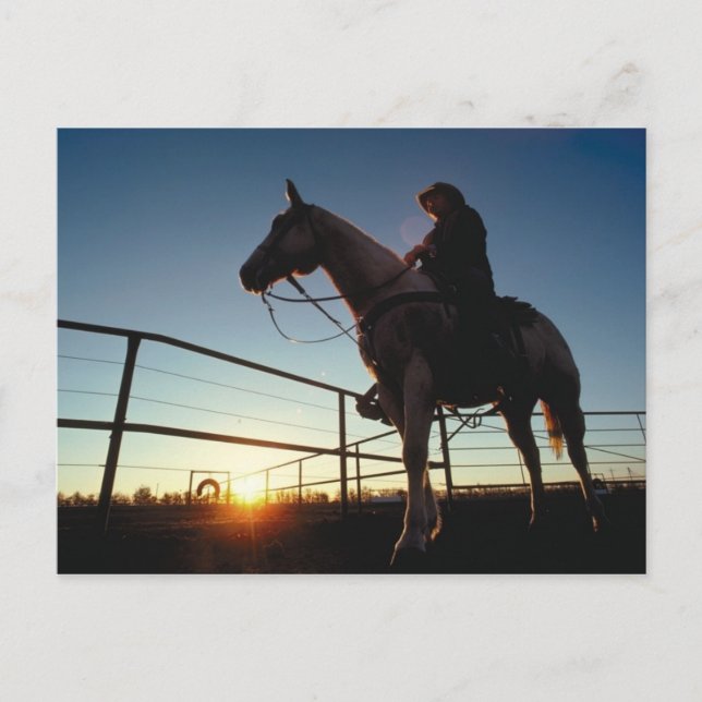 Postal Cowboy Post Card (Anverso)