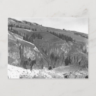 Postal Cowboy se separó de su rebaño.