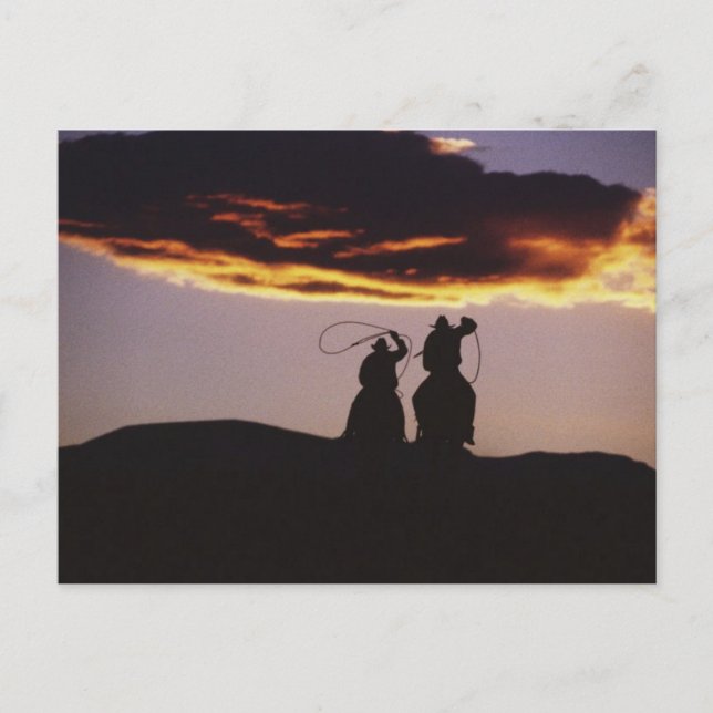 Postal Cowboy Team con Lassoes (Anverso)