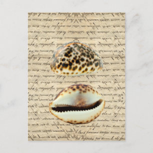 Postal Cowrie shells