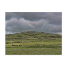 Cox Tor, Dartmoor, Devon,