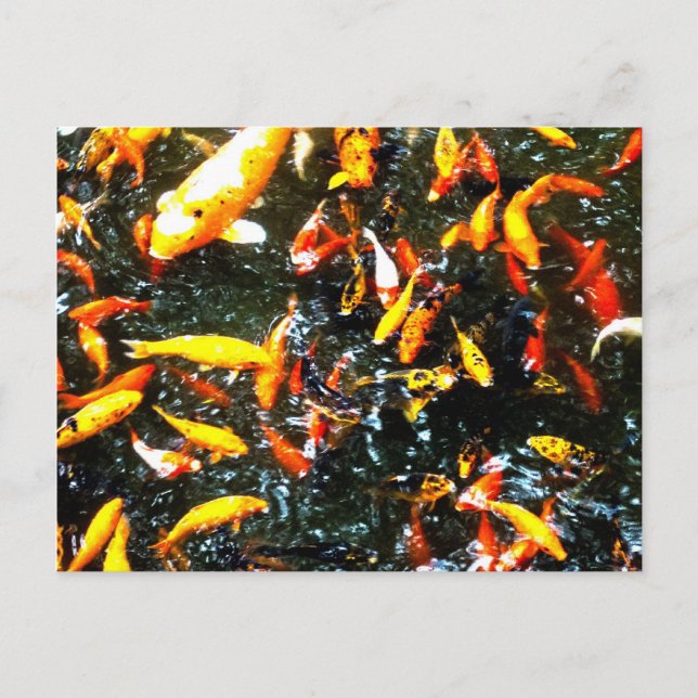 Postal Coy Fish (Anverso)