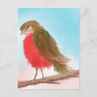 Postal Coy Robin Postcard