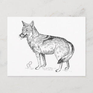 Postal Coyote