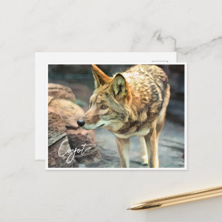 Postal Coyote ポストカード
