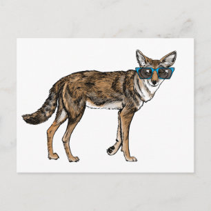Postal Coyote divertido del inconformista con las gafas