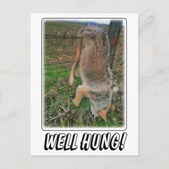POSTAL COYOTE HUNT - BIEN HUNG SOBRE LA FENSA (Anverso)