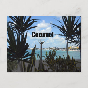Postal Cozumel