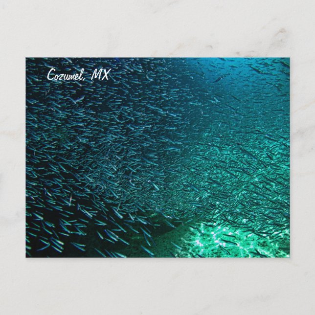 Postal Cozumel México (Anverso)