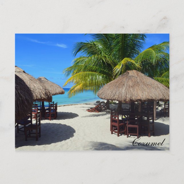 Postal Cozumel México Beach Hut Palm Tree Verde azulado W (Anverso)