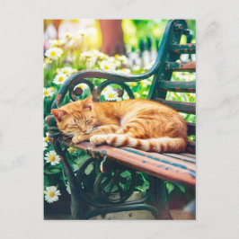 Postal Cozy Cat Sleeping in Garden on Bench