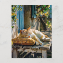 Postal Cozy Cat Sleeping in Garden on Bench