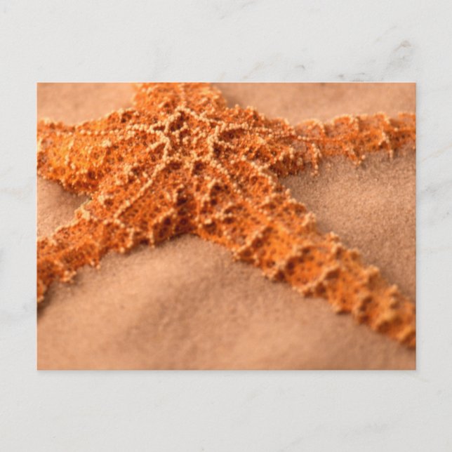 Postal cp ion sand cl-up (Anverso)