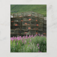 Crabpots almacenados en el puerto holandés, Alaska