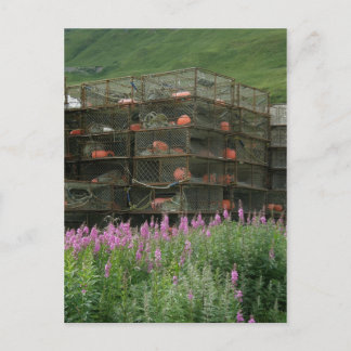 Postal Crabpots almacenados en el puerto holandés, Alaska