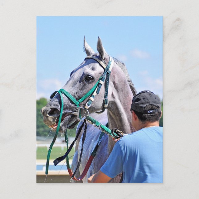 Postal Crafty Concorde (Anverso)