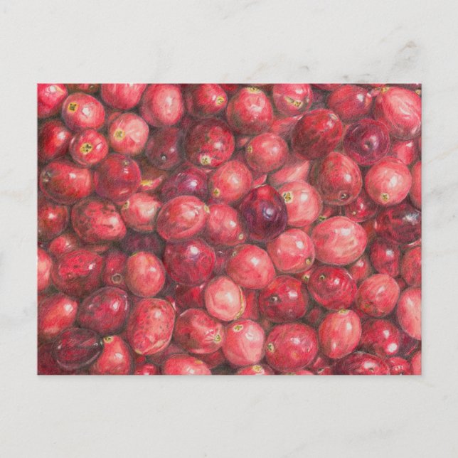 Postal Cranberries Still Life (Anverso)