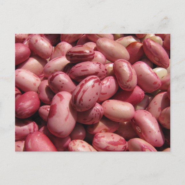 Postal Cranberry Beans (Anverso)