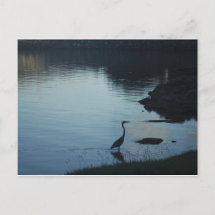 Postal Crane en el lago al atardecer