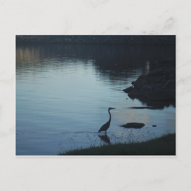 Postal Crane en el lago al atardecer (Anverso)